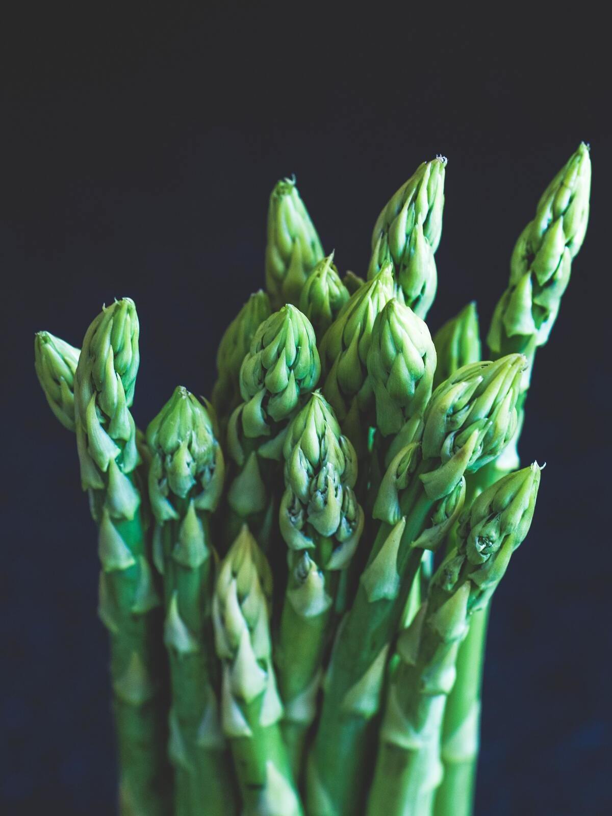 Asperges