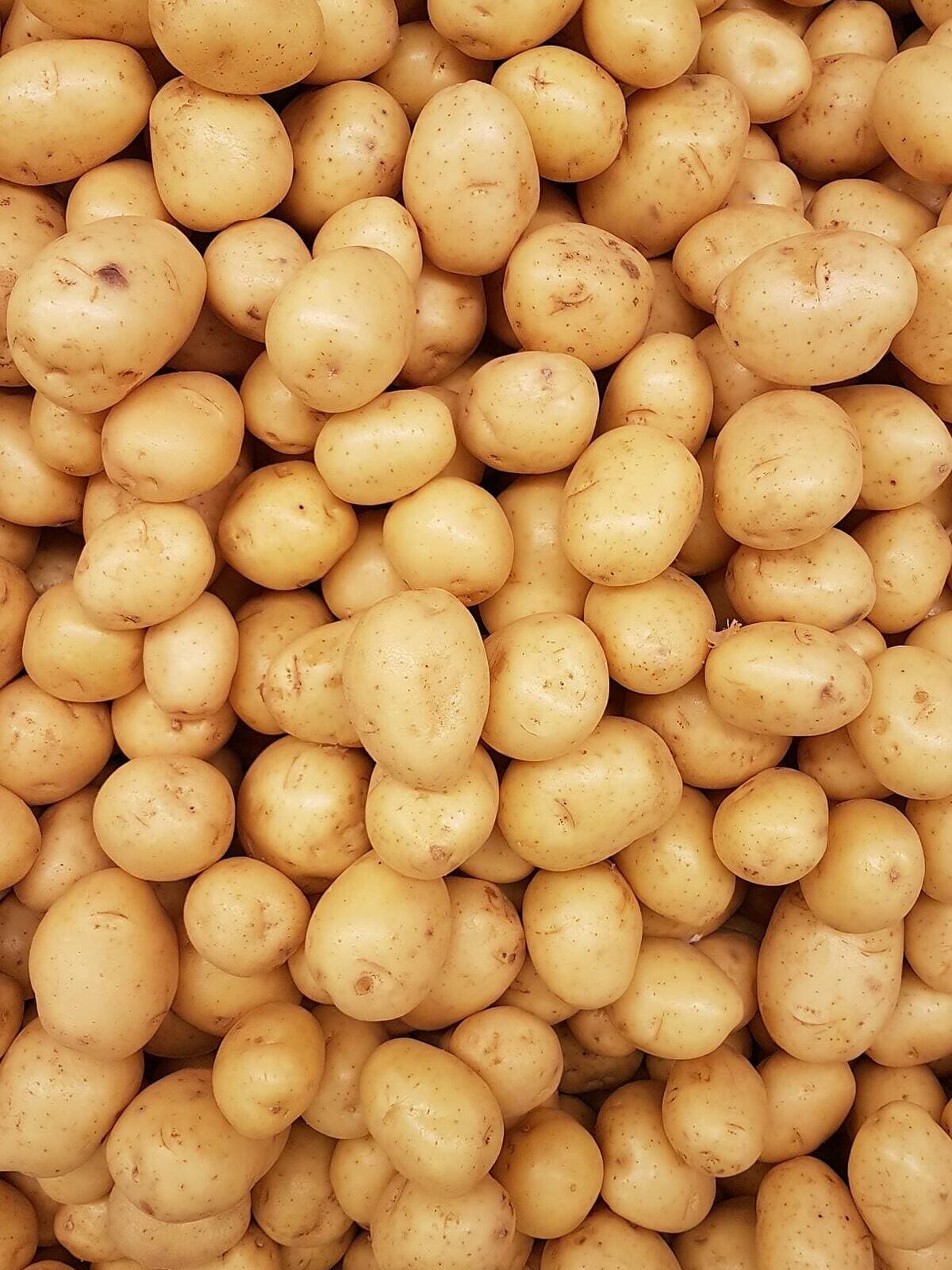 Pomme de terre